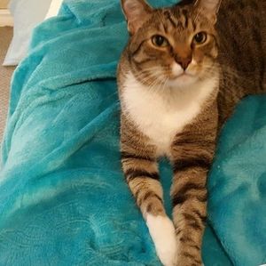 Meet your Posher, Peggie